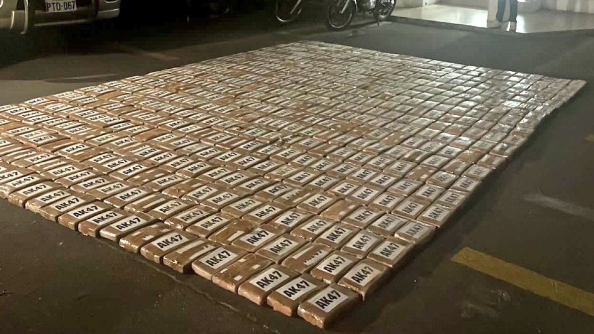 Cargamento. Durante un operativo de control, las autoridades detuvieron la marcha de la volqueta y decomisaron el cargamento.