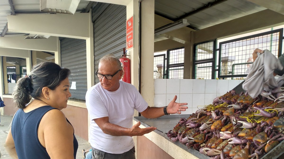 La actividad se retoma de apoco, tras el periodo de prohibición de venta. |