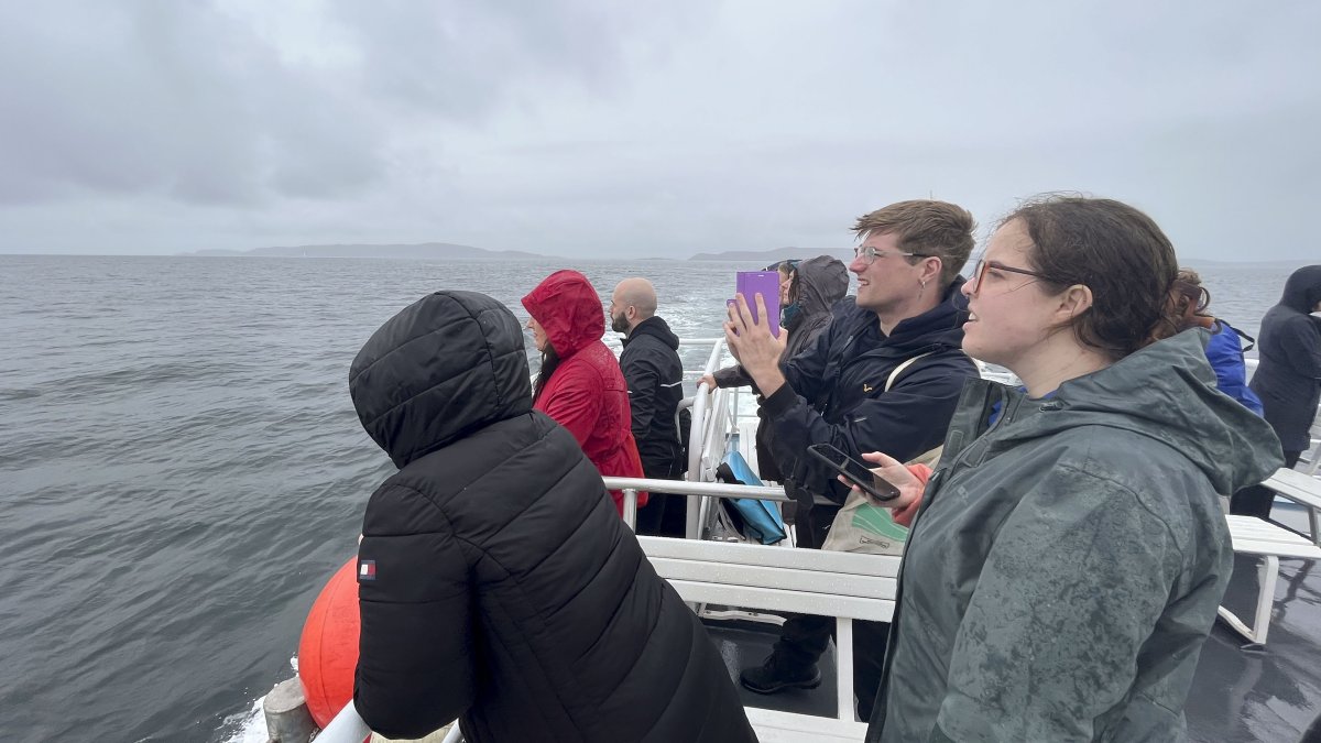 Un rupo de personas participa en una vuelta en barco por el Mar Céltico, organizada para presentar un proyecto que utiliza la IA para proteger a los cetáceos en las costas de Irlanda.