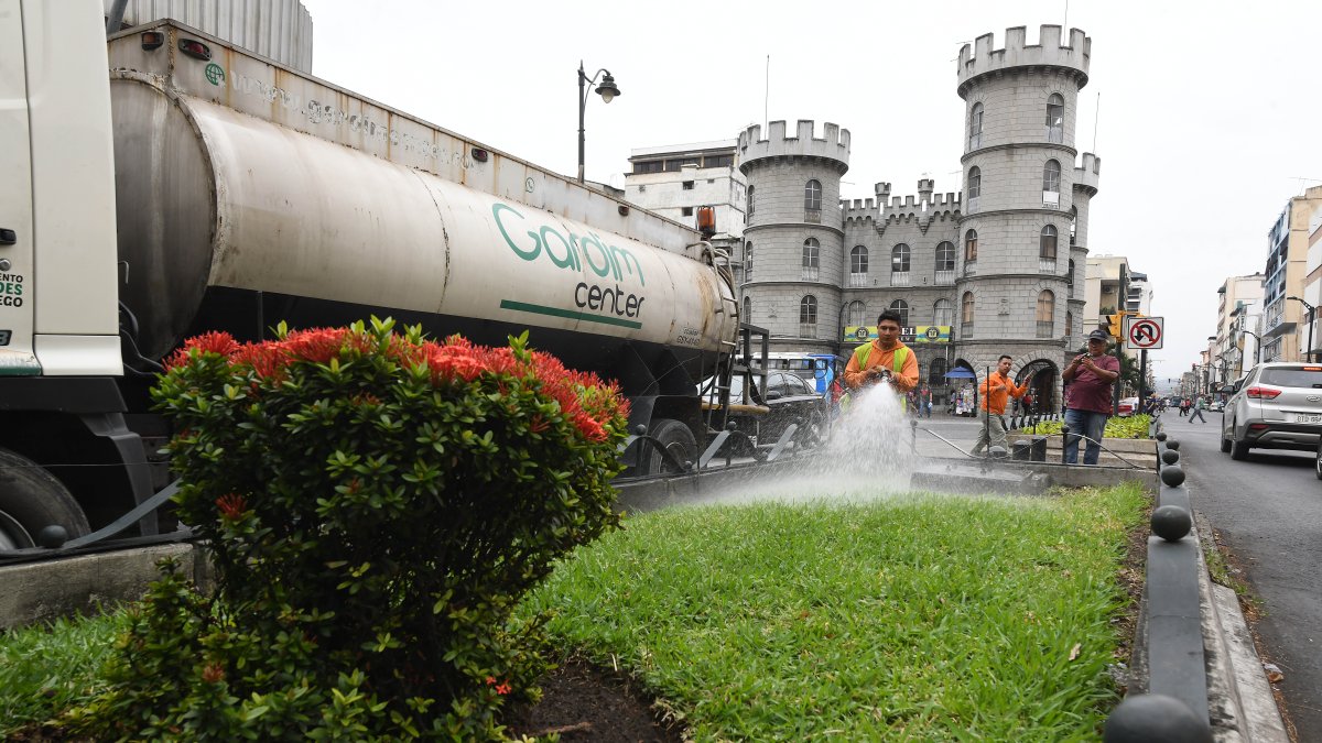 Tarea. Un trabajador riega agua en áreas verdes.