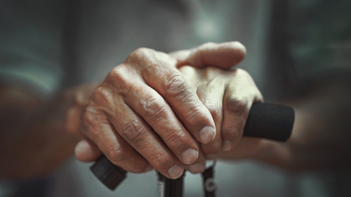 Un aroma característico que llega a cierta edad.