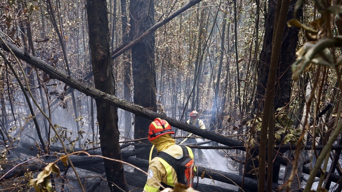 Daños. Para los Bomberos resultó complicado apagar el fuego en el sector El Armero.