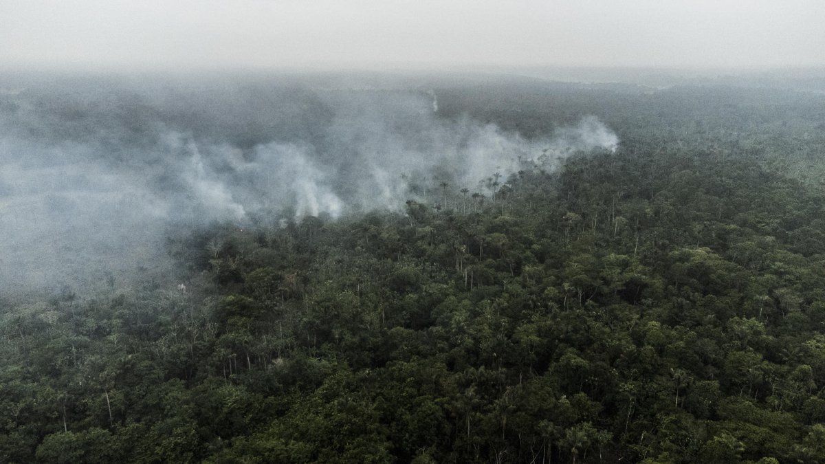 Fotografía aérea de un incendio forestal en Iranduba, región metropolitana de Manaos (Brasil).