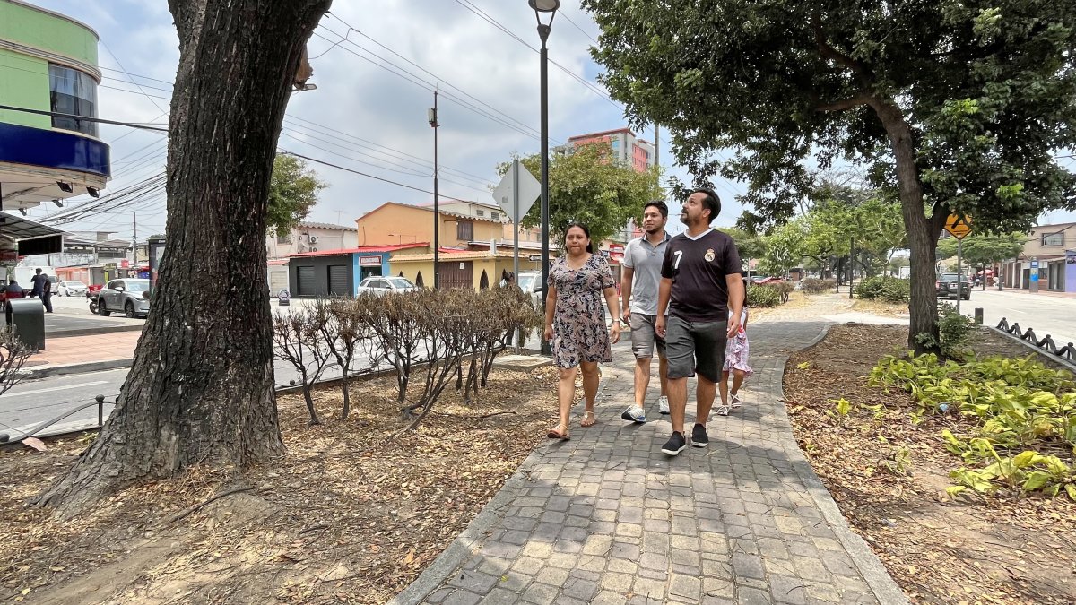 Flora. Cada mes, desde julio de 2022, la firma Ivanek S.A. realizaba reposición de especies en la avenida Benjamín Carrión. Ahora varias plantas lucen secas y otras se marchitaron.