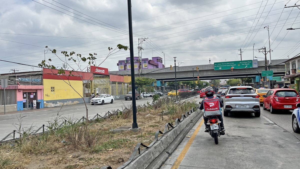 El atropellamiento de Jancarlo Coello se registró en la avenida Benjamín Carrión, en el norte de Guayaquil.