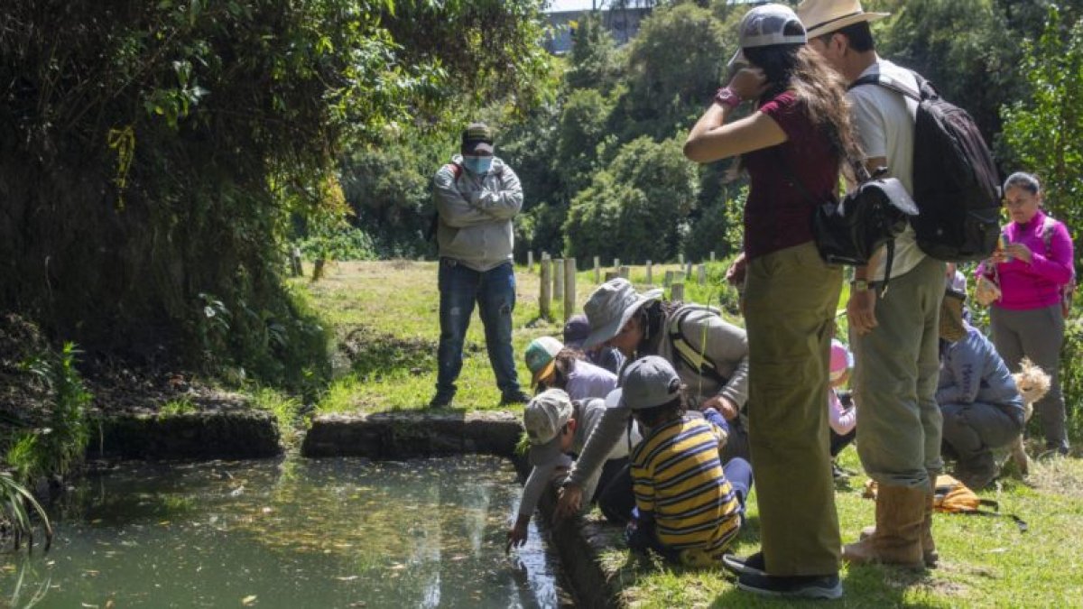 Naturaleza. Los niños aprenden sobre la importancia de los ríos.