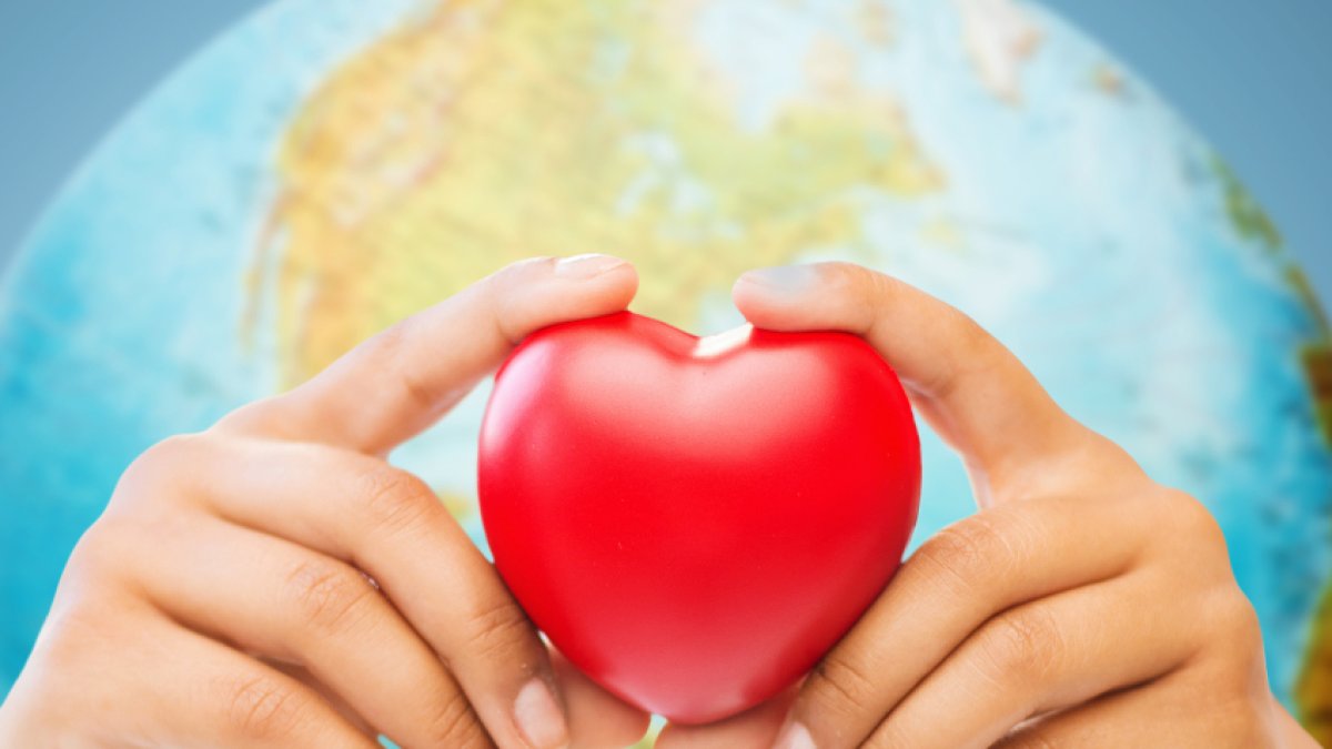 El corazón es un órgano vital para la vida