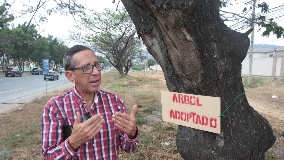 Comunidad. Los ciudadanos han optado por esta iniciativa para revitalizar el panorama que se evidencia en la vía principal de este sector.