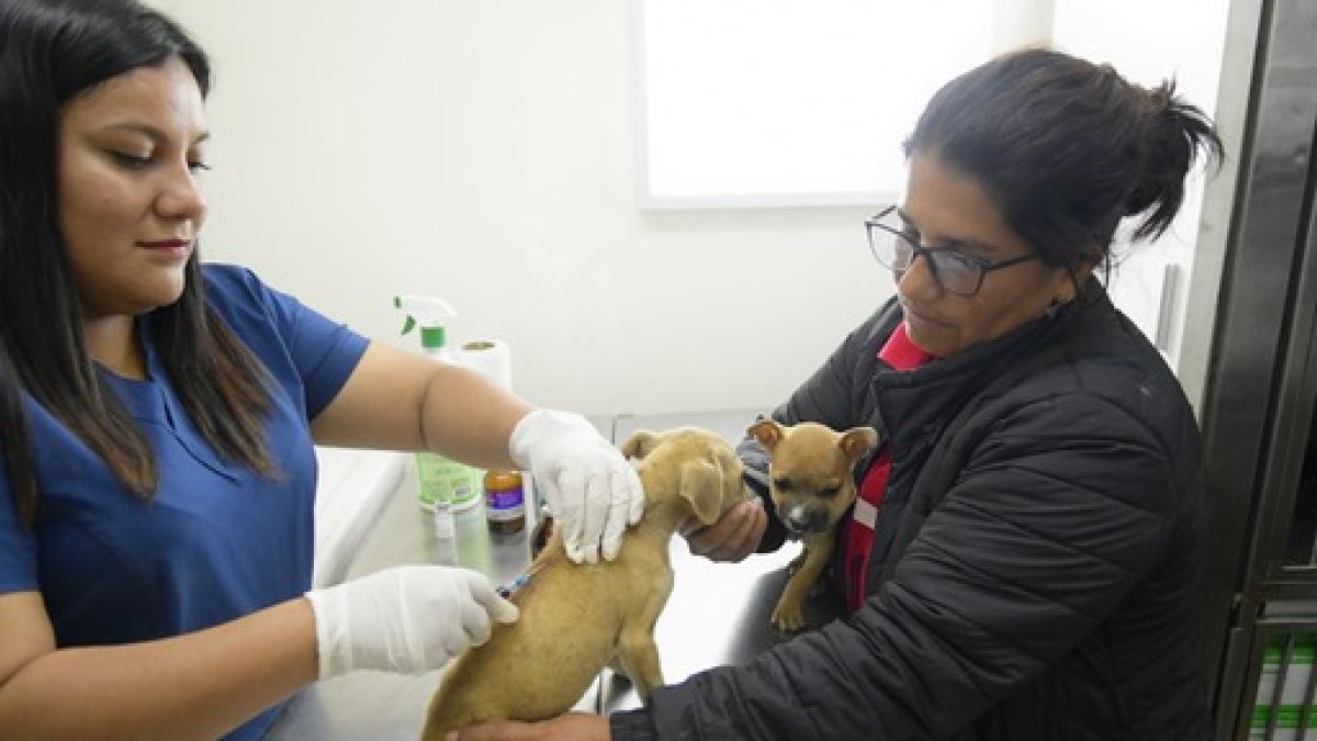 El proceso de vacunación se realizó en parroquias y recintos rurales de la ciudad.