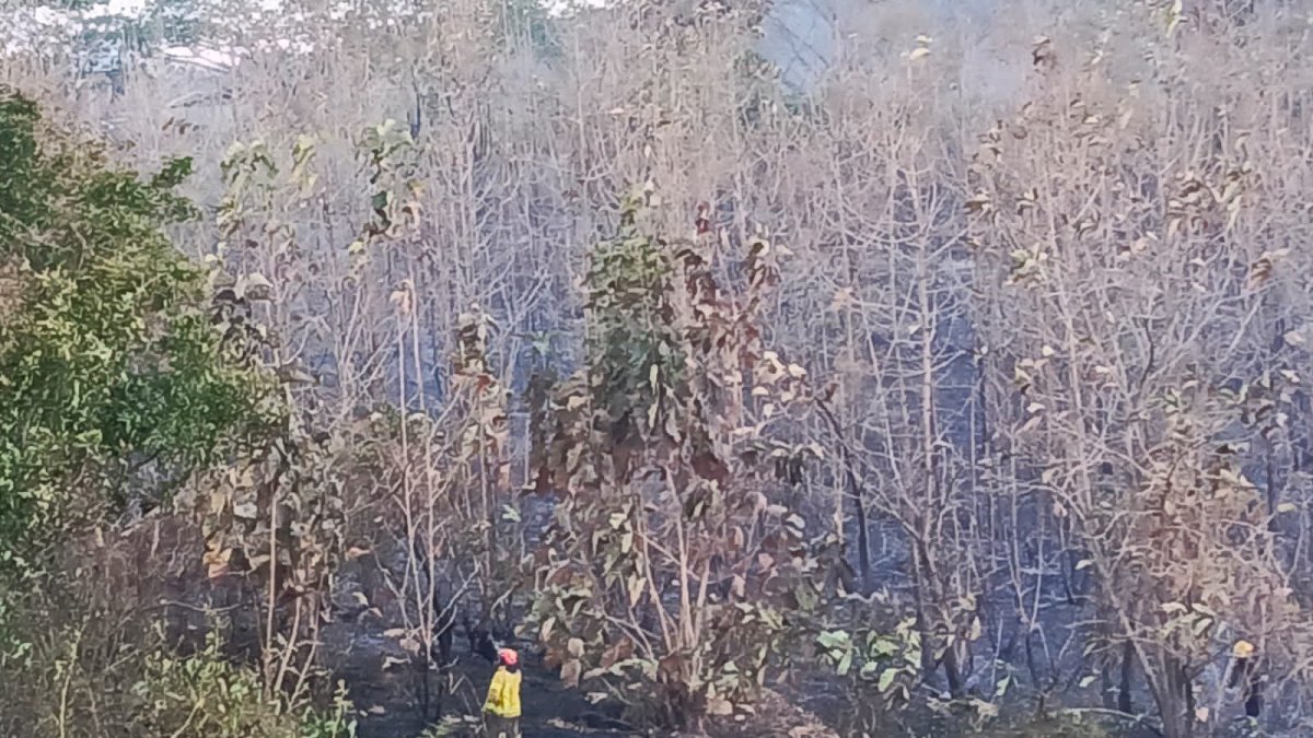 Hecho. El incendio se registró la tarde del sábado 23 de septiembre.