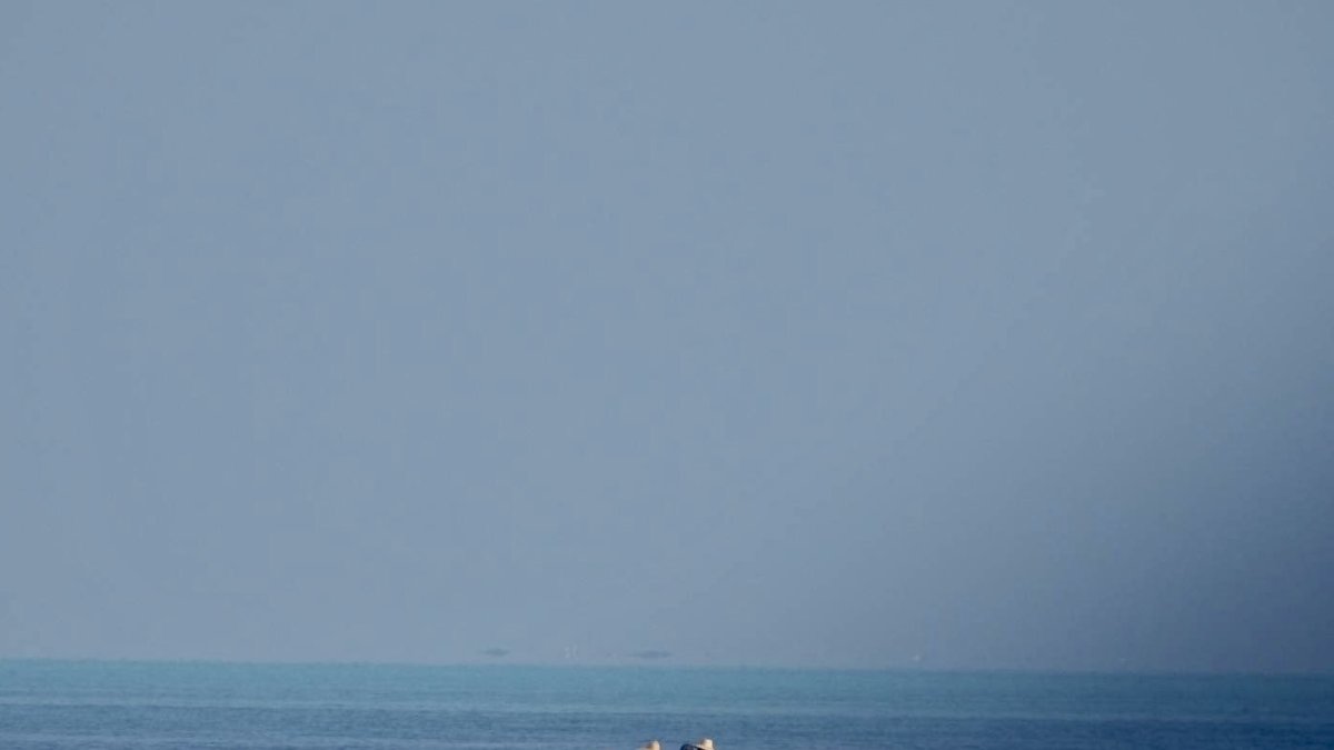 Una foto proporcionada por la Guardia Costera de Filipinas (PCG) muestra barcos de la Guardia Costera China patrullando junto a una barrera flotante.