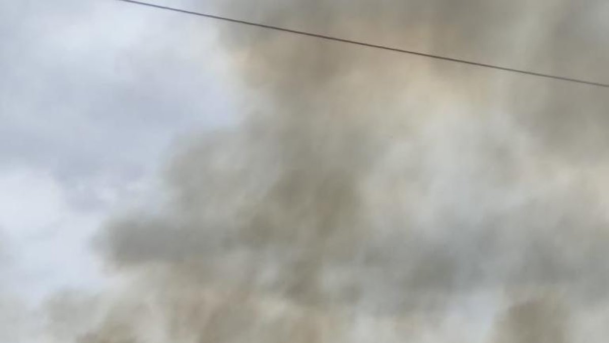 Un incendio forestal del fin de semana.