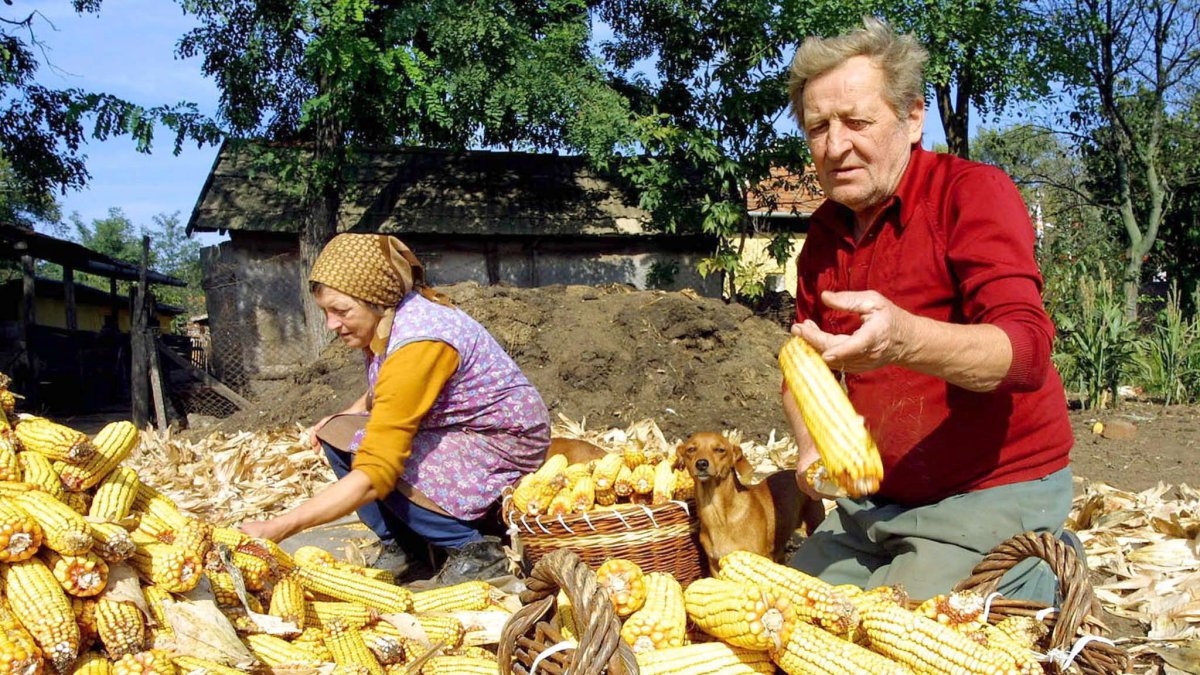 Oferta. Los cultivos del país latino crecen 1 millón de hectáreas por año