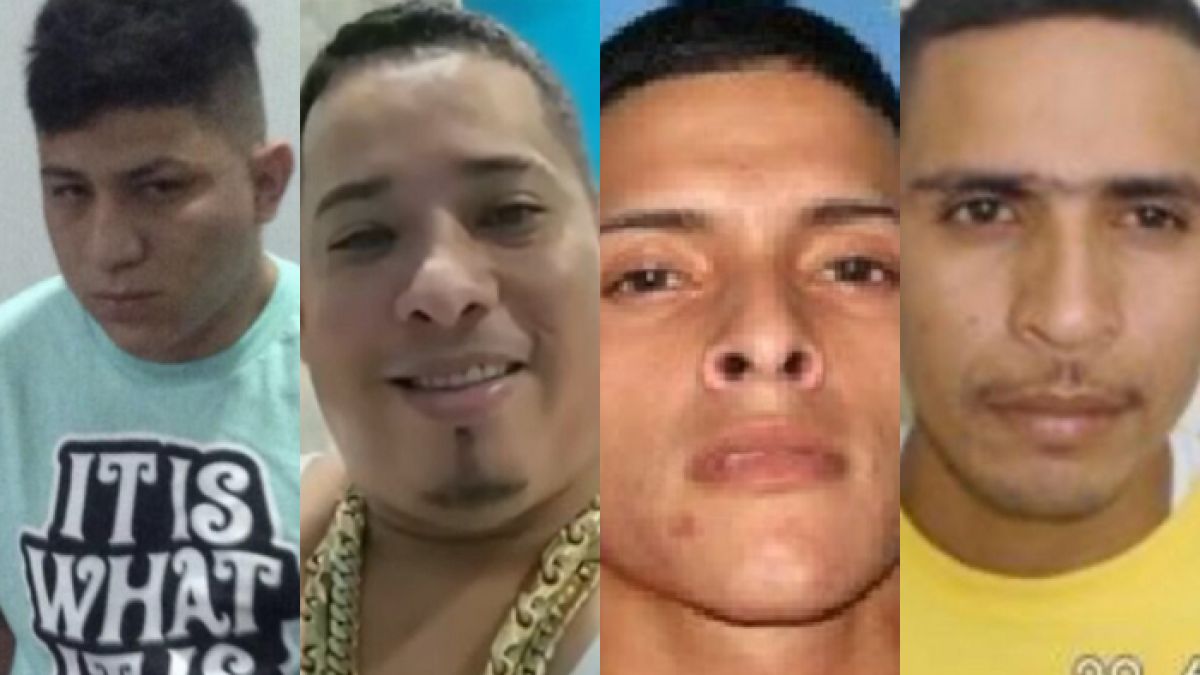 4 líderes de bandas delictivas asesinados de lo que va de 2023.