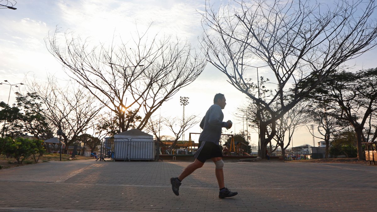 Paisaje. En medio de árboles secos, los moradores realizan sus ejercicios, aunque con menos frecuencia.