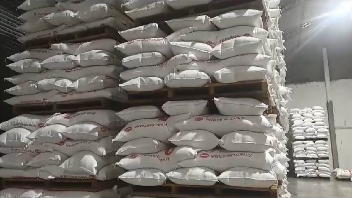 La primera carga llegó el  pasado 11 de septiembre del 2023.