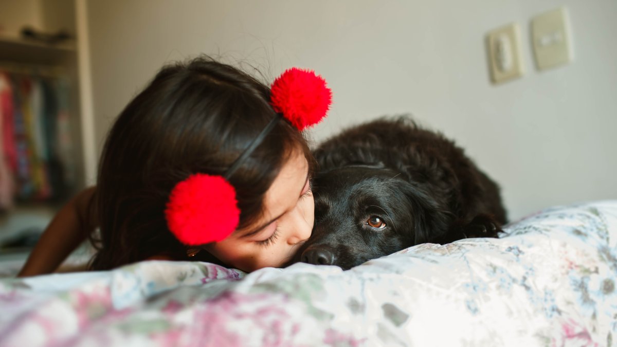 Cuidarlos. Es indispensable trabajar en la convivencia entre perro y niño para que la convivencia sea buena y no haya problemas.