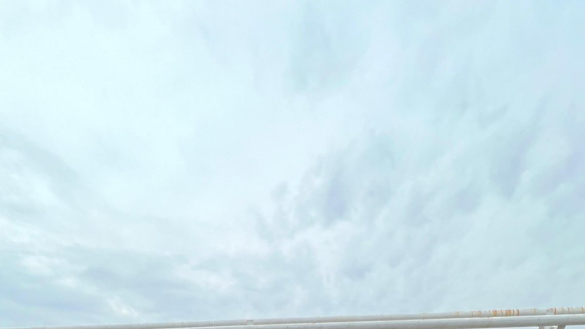 Parte de la delegación albiceleste de patinaje de carreras que se colgó oro y plata.