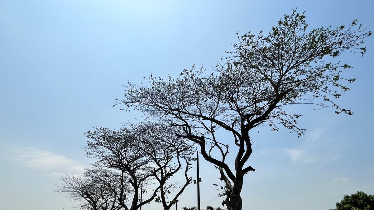 Samborondón. En la urbanización La Puntilla se evidencia la situación.