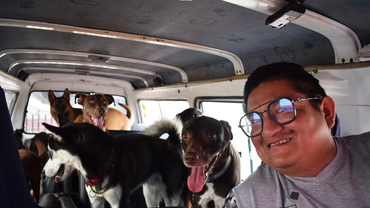 César es el encargado de recoger puerta a puerta a los 'perrijos'.