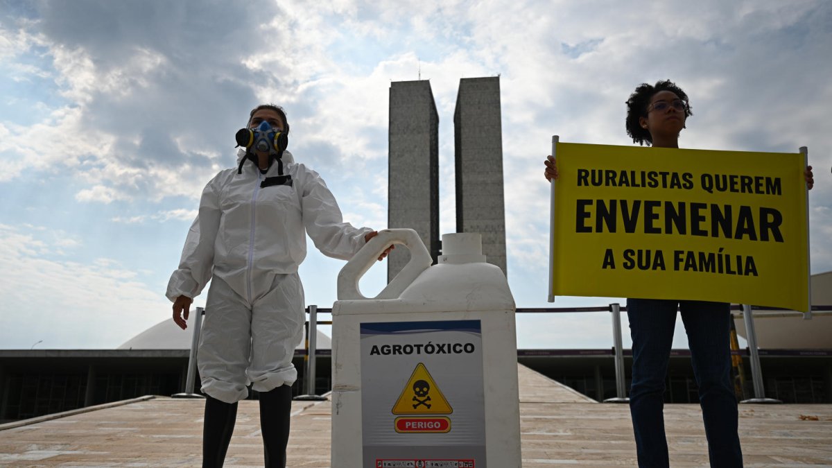 Activistas de Greenpeace participaron de una protesta contra el uso indiscriminado de pesticidas agrícolas, frente al Congreso Nacional en Brasilia.