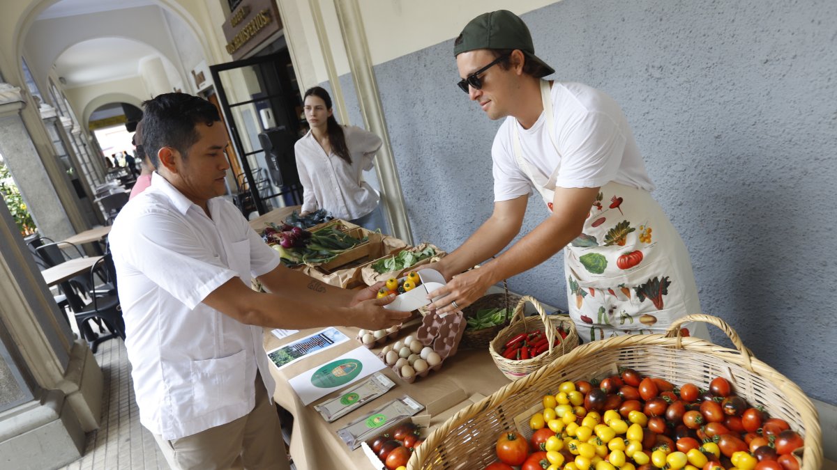 Feria. Solo por este 7 de octubre el mercadito estará en la calle Panamá.