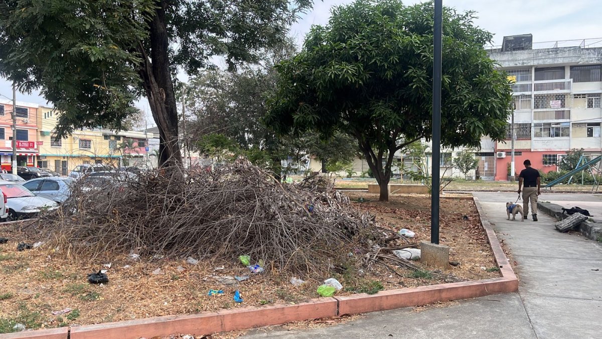 El monticulo además de contar con basura, también se volvió refugio para roedores.