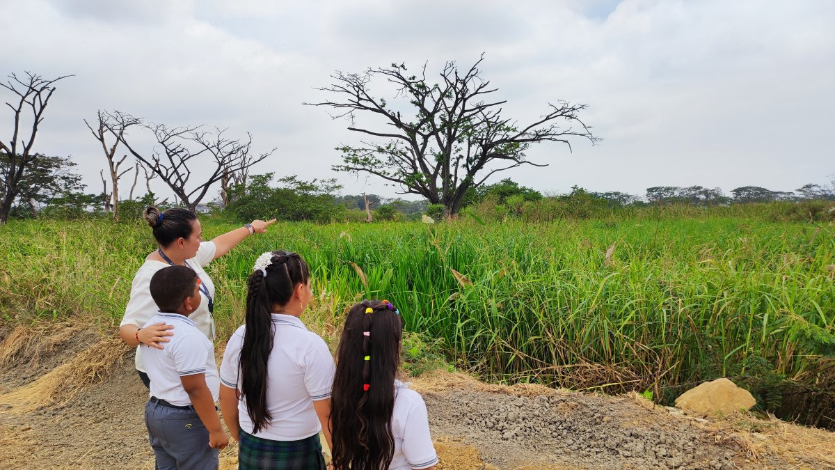 Ambiente. Los estudiantes realizan recorridos alrededor de su unidad, que está rodeado de árboles.