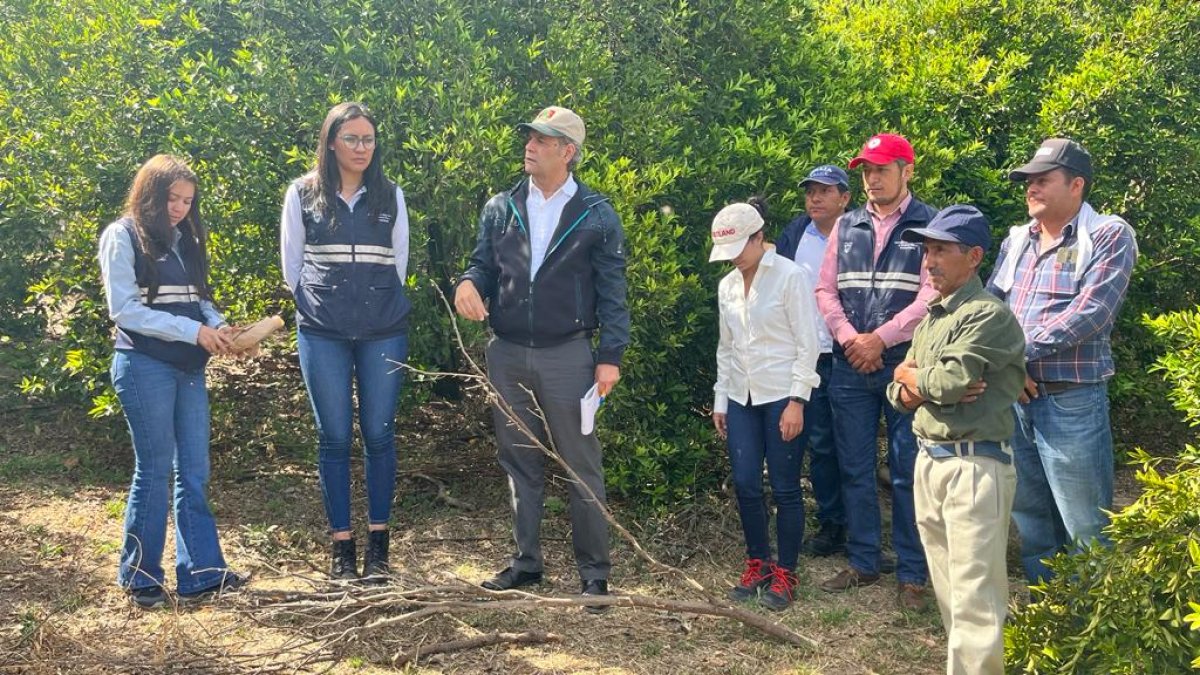El MAG trajo a un experto de la OIEA para supervisar las actividades de trampeo
