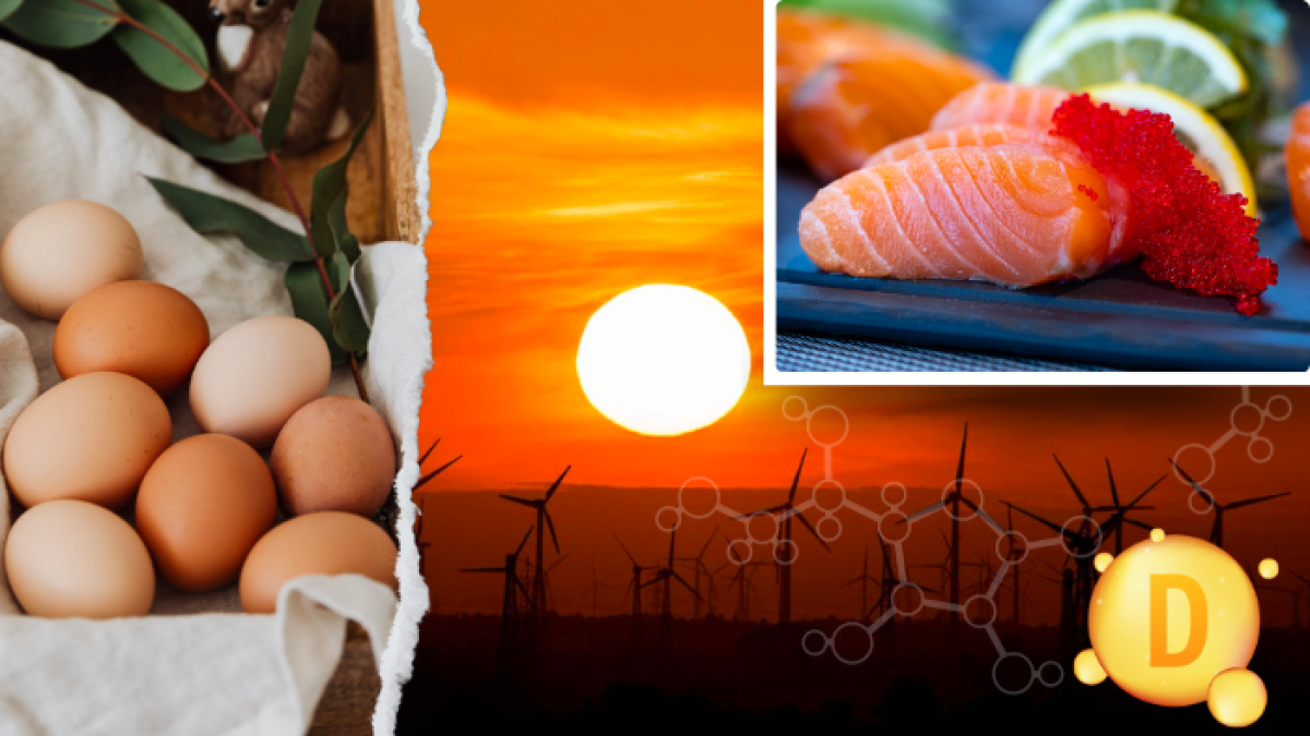 En la alimentación debe incluirse pescados, huevos y hongos ricos en vitamina D.