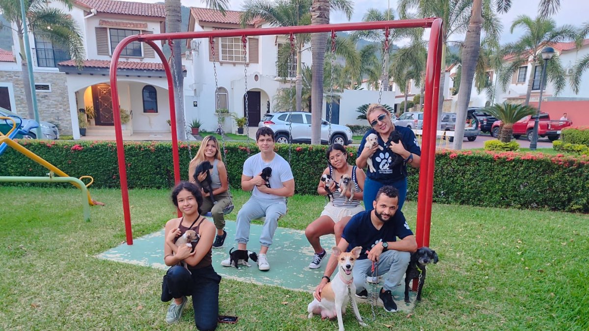 Activistas. Algunos de los voluntarios del proyecto Salvando Patitas.