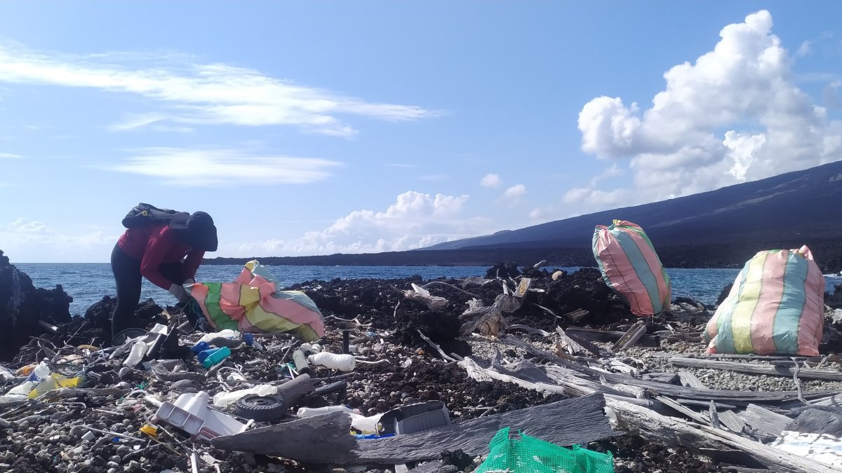 En 2022, en las islas Galápagos se recolectaron 3,6 toneladas de basura.
