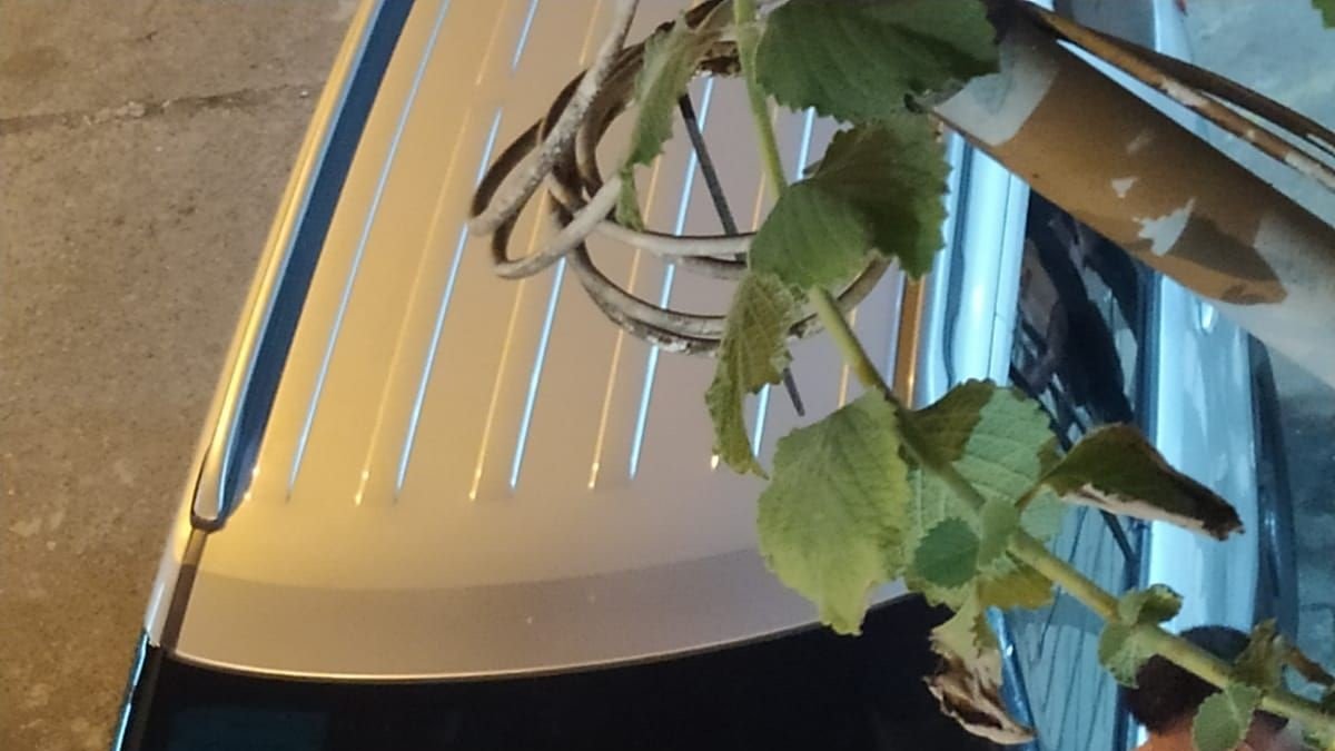 Ataque. La víctima recibió un disparo por el parabrisas de su carro.