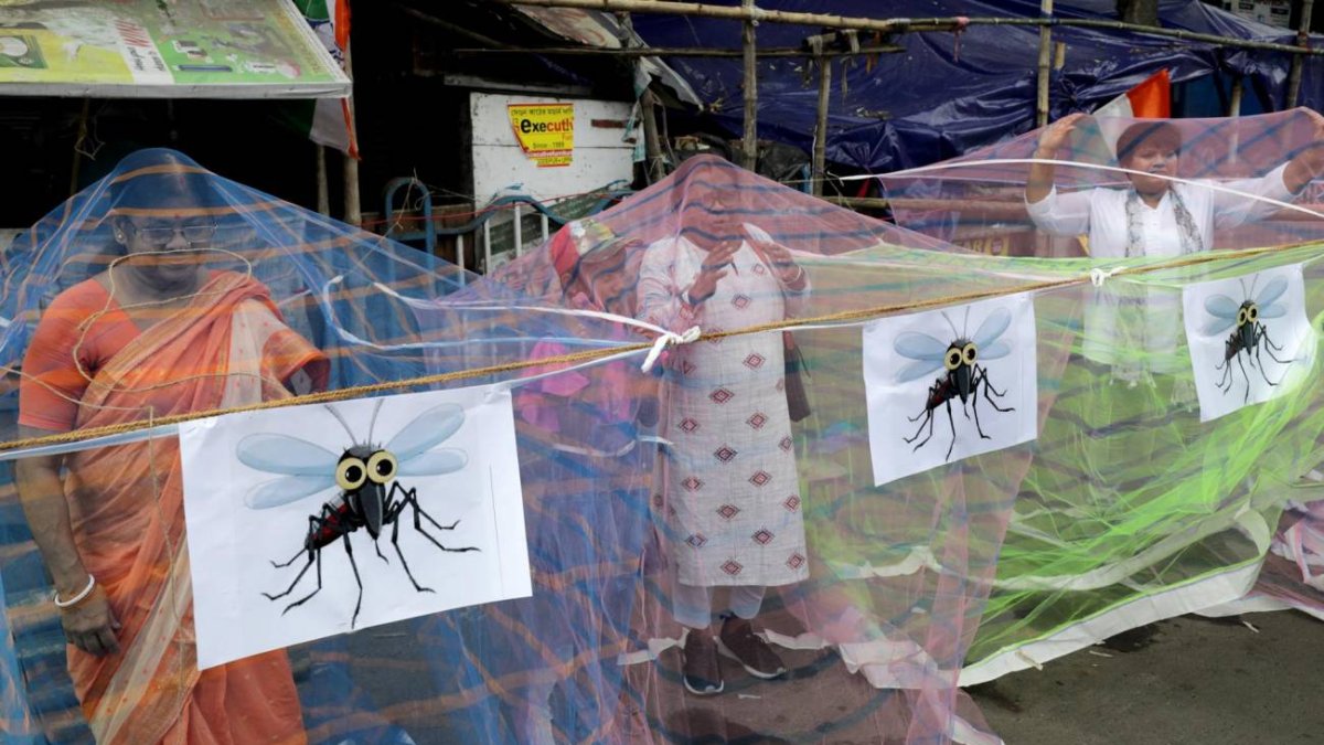 Imagen referencial para graficar este artículo sobre vacunas.