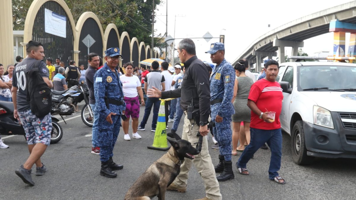Los canes de la Policía Nacional acompañan a los uniformados en sus labores de esta jornada electoral