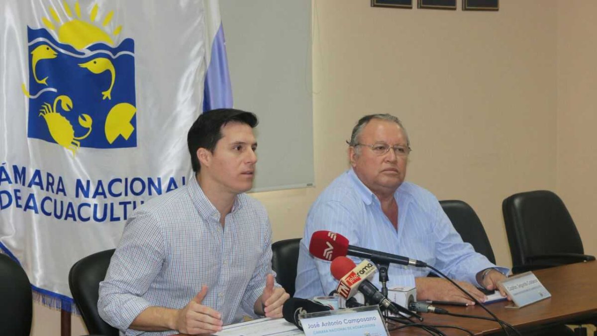 José Antonio Caposano, presidente de la CNA, habla de las necesidad del sector.