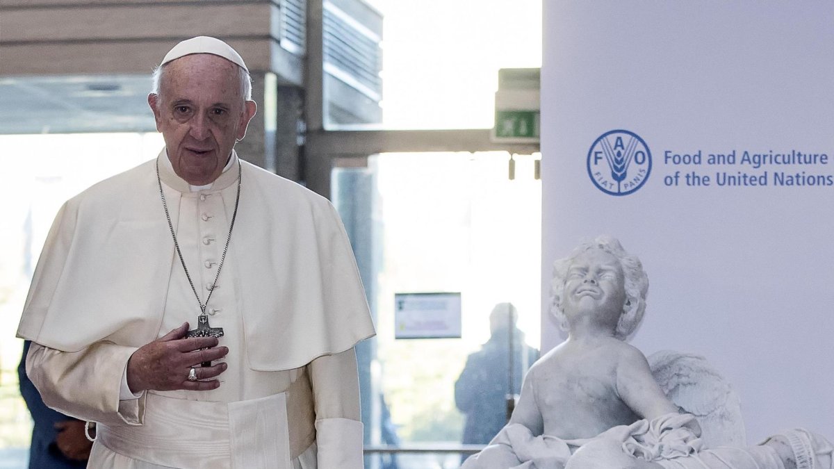 El papa Francisco en la sede de la FAO en una imagen de archivo.
