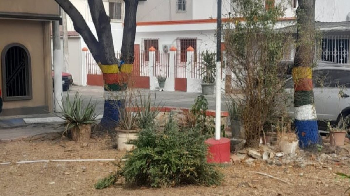 Este es el estado del parque que colinda con las manzanas 12 y 13 de la etpa 11 de la Alborada