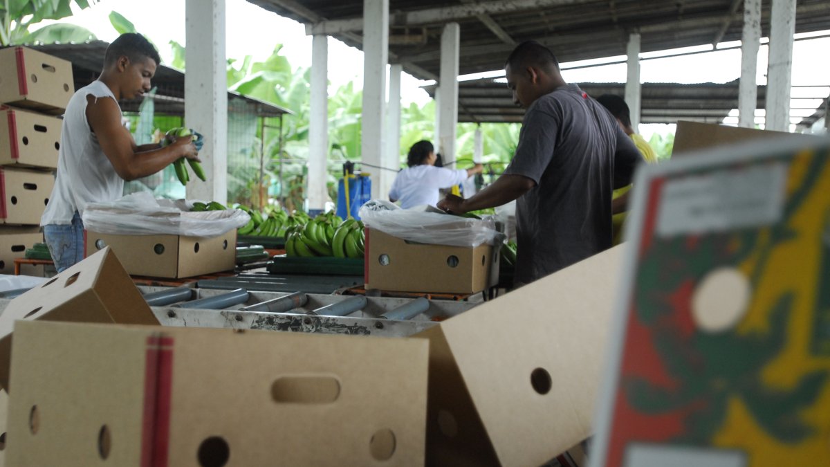 Ventas. El sector en general facturó 5.008 millones de dólares.