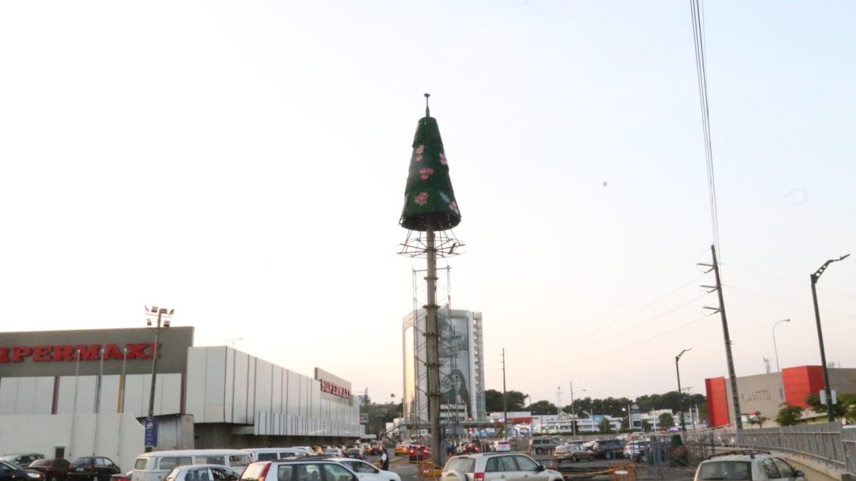 El árbol de Navidad ya comienza a ser visible para quienes transitan por el lugar.
