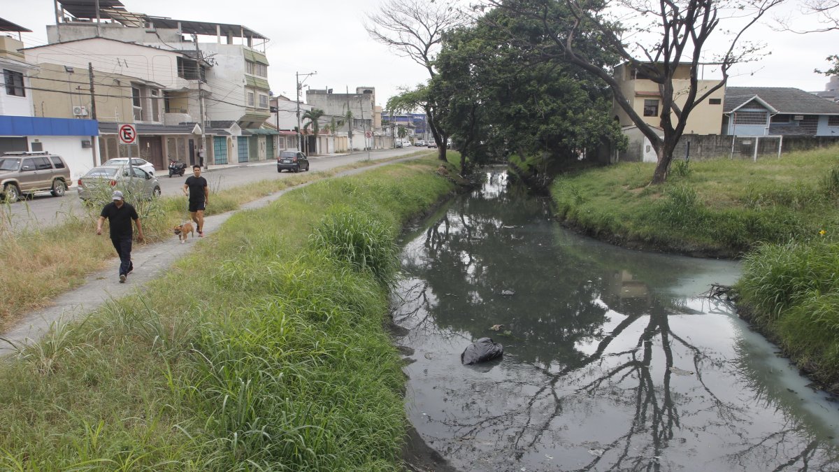 La ciudadanía exige a las autoridades identificar las zonas donde podría estar acentuado el riesgo a la enfermedad, ya sea porque hay agua acumulada o maleza.