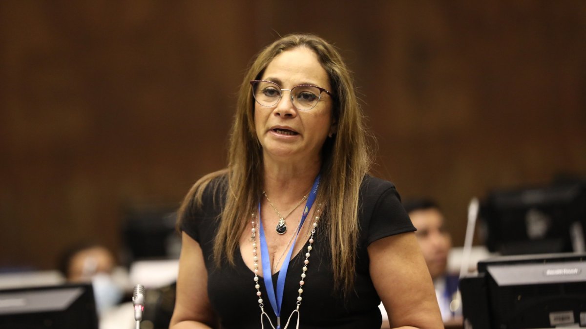 Figura. Pierina Correa es la asambleísta nacional más votada en esta elección. El correísmo logró 52 curules.