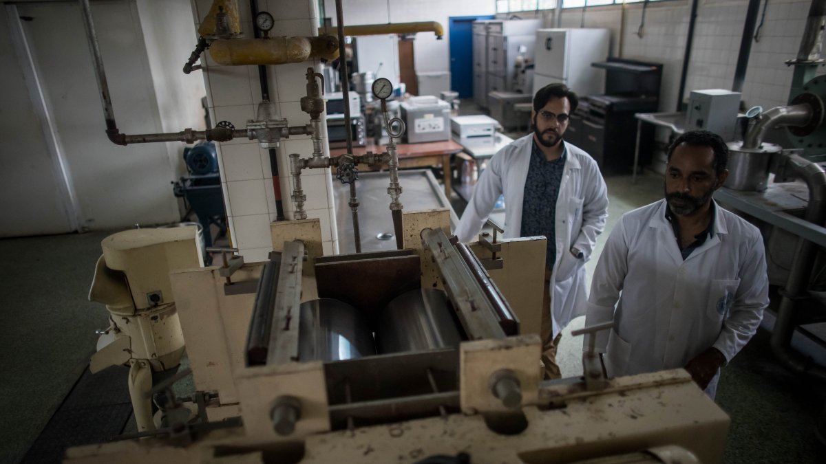 Caracas. Científicos de Venezuela están creando novedosas harinas, el alimento más consumido en el país.