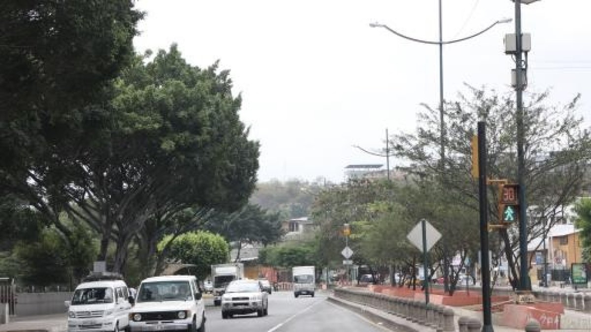 Corredores. Guayaquil debe enfocarse en reconectar sus ecosistemas para emprender un proyecto de reforestación urbana integral y mejorar las condiciones ambientales.