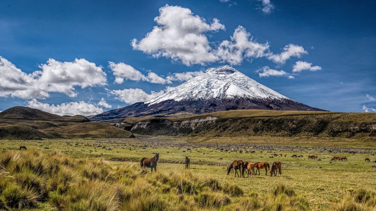El volcán Cotopaxi ha disminuido su proceso eruptivo en los últimos meses, la Secretaría de Gestión de Riesgos.