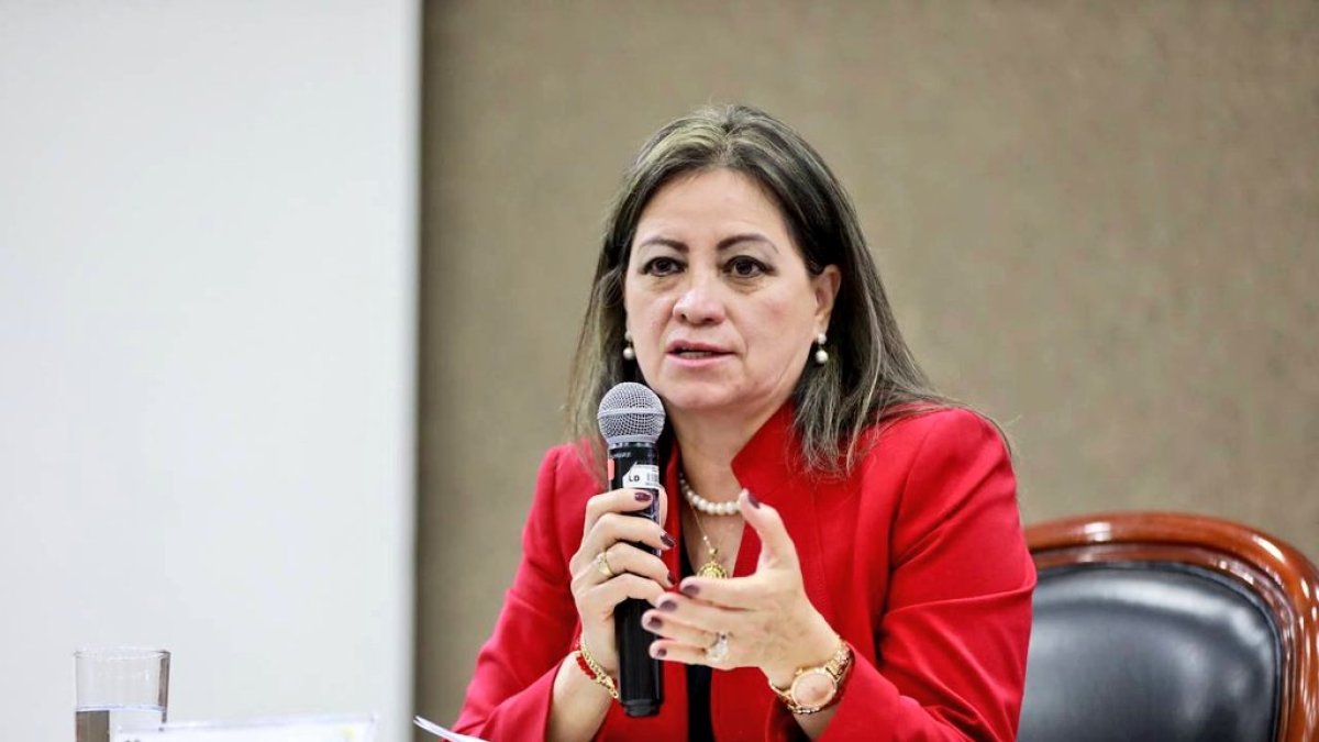 Elena Nájera también pide un informe sobre los viajes internacionales oficiales que prevén hacer los demás integrantes del pleno.