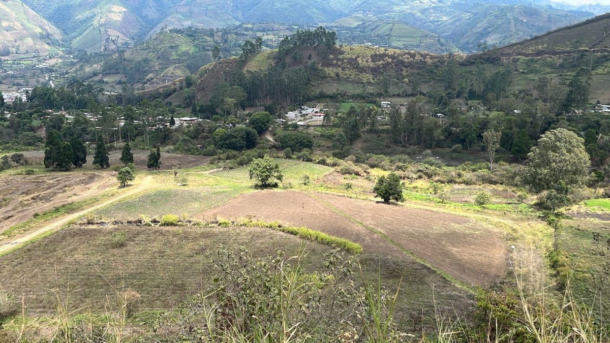 Subasta.- Uno de los terrenos que la CFN subasta, este es el de Pallatanga.