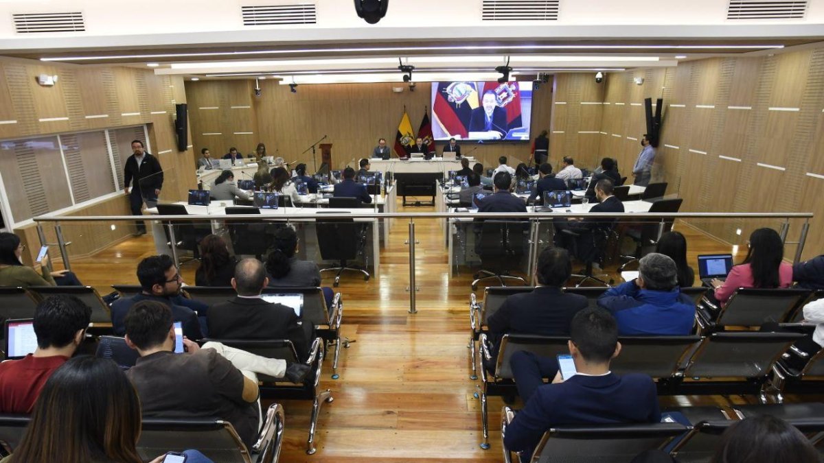 El tema fue abordado en el Concejo Metropolitano por pedido del concejal Michael Aulestia.