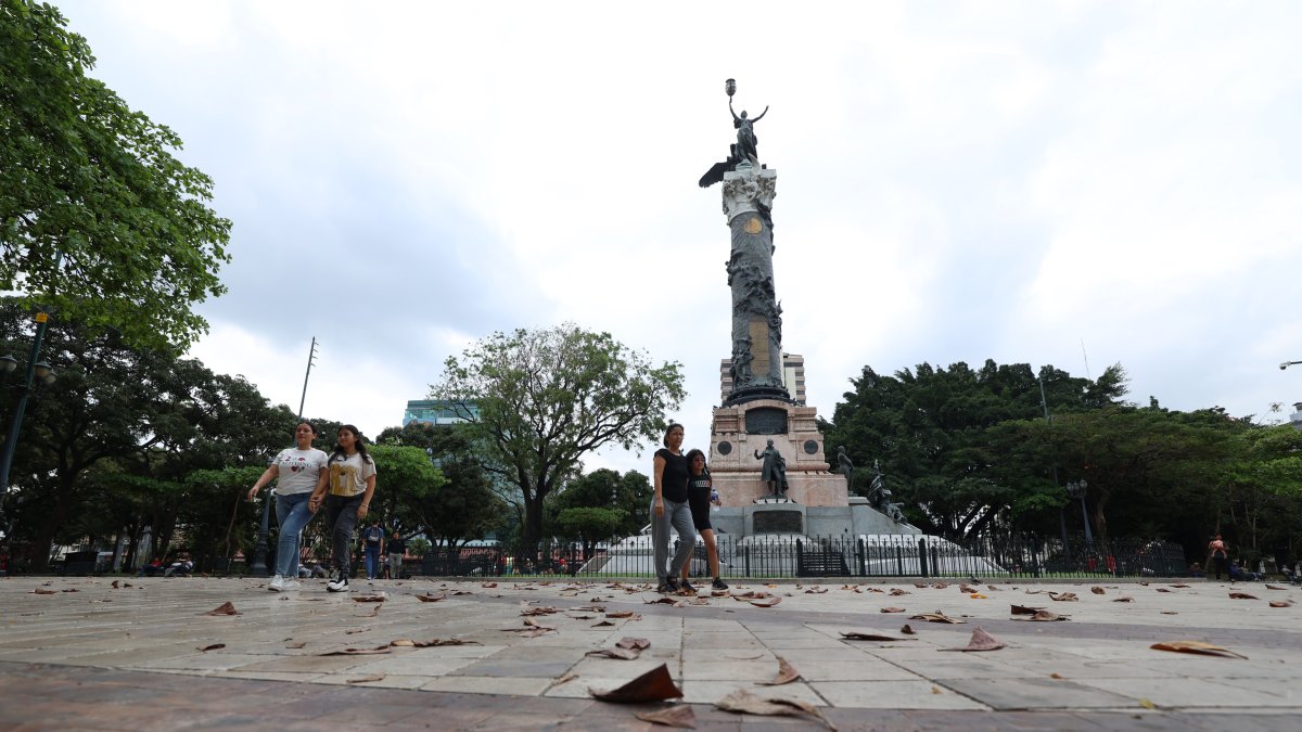 Cuidado. Durante un recorrido por el parque se observó falta de limpieza alrededor de la Columna a los Próceres.