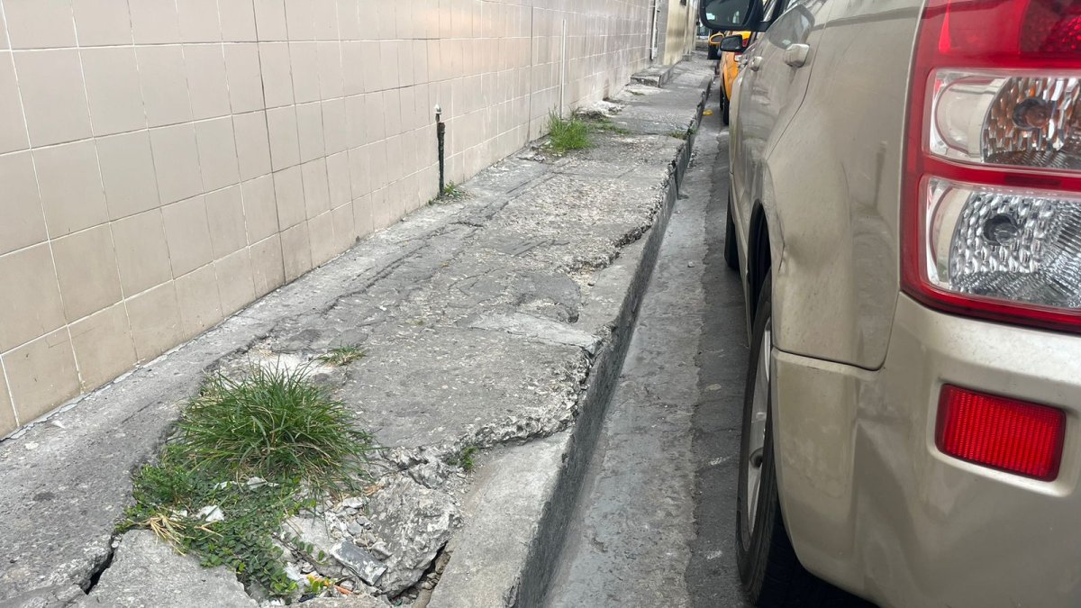 Encima de los puntos dañados ha crecido maleza.